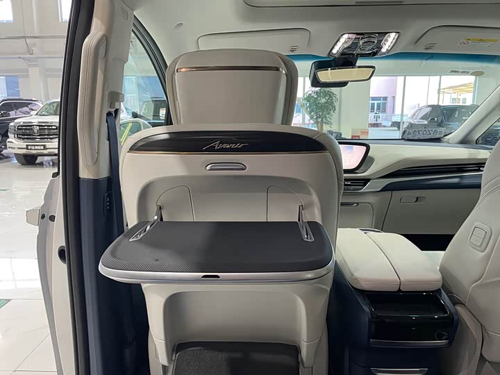 Фото 19 - Buick GL8 Century