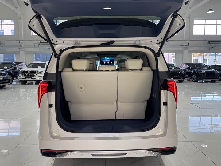 Фото 27 - Buick GL8 Century