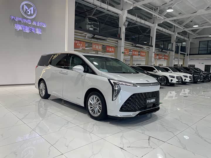 Фото 7 - Buick GL8 Century