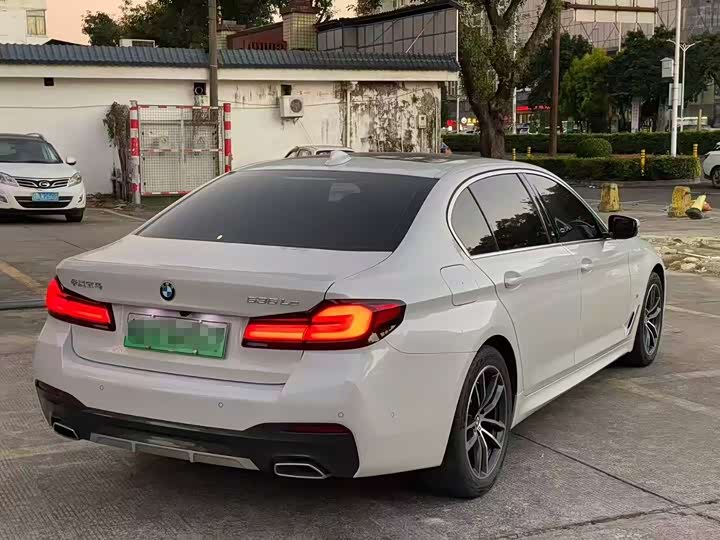 Фото 2 - BMW 5 Series Hybrid
