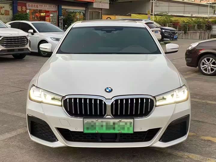 Фото 3 - BMW 5 Series Hybrid