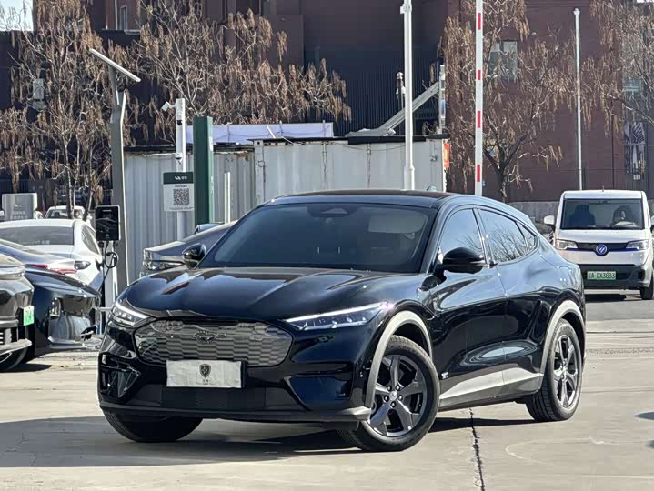 Фото 1 - Ford Mustang Mach-E