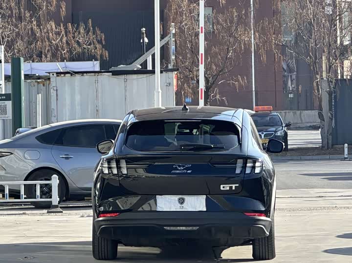 Фото 5 - Ford Mustang Mach-E