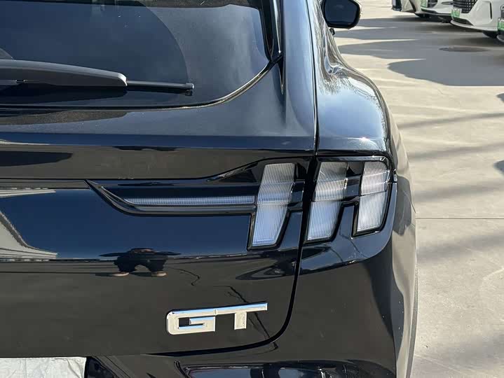 Фото 9 - Ford Mustang Mach-E