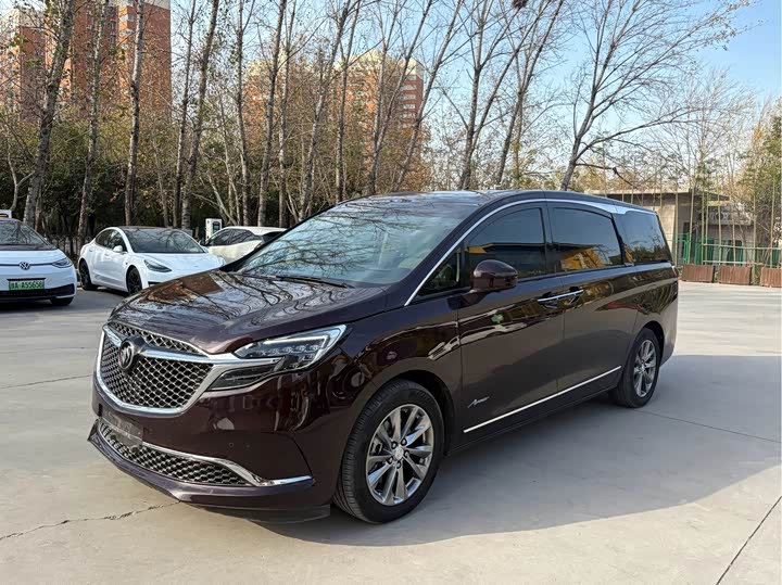 Фото 1 - Buick GL8 ES