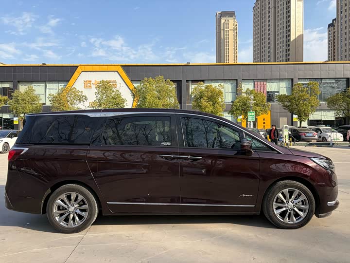 Фото 4 - Buick GL8 ES