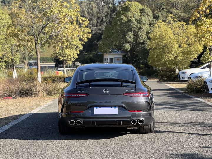 Фото 3 - Mercedes-Benz AMG GT
