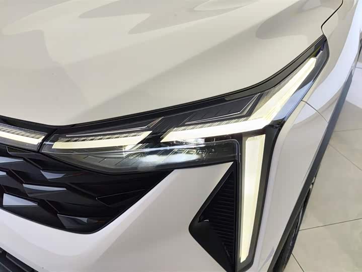 Фото 5 - Geely Atlas