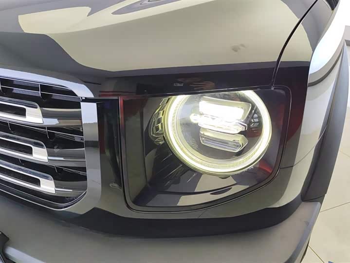 Фото 5 - Haval Dargo