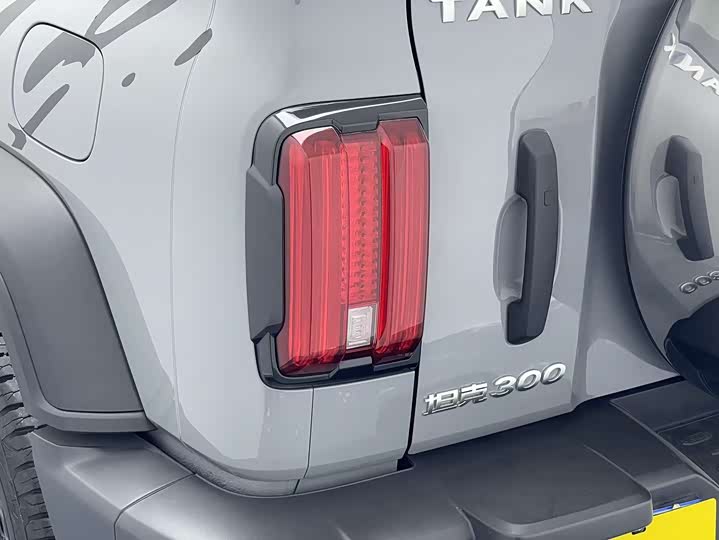 Фото 11 - Tank 300