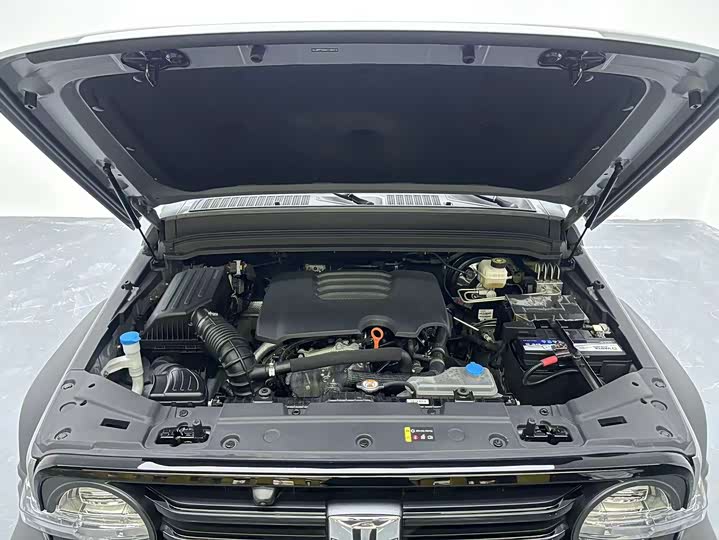 Фото 19 - Tank 300