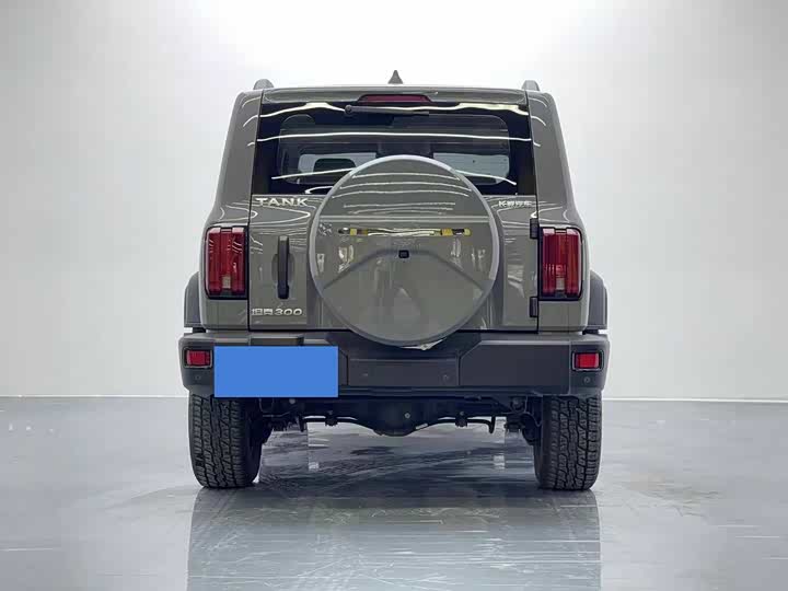 Фото 5 - Tank 300