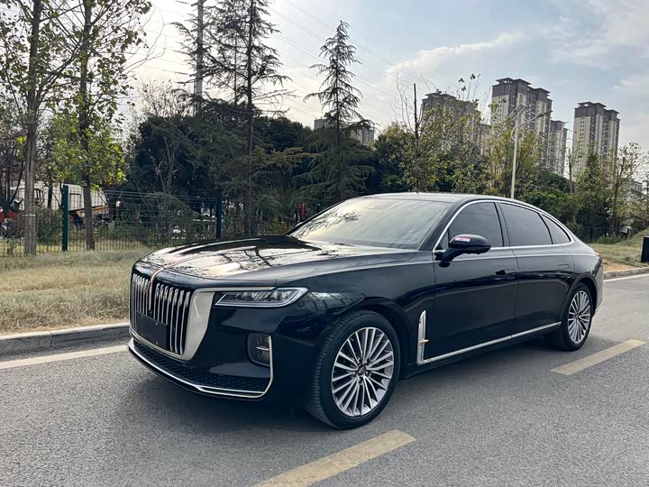 Фото 1 - Hongqi H9