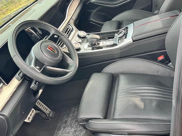 Фото 14 - Hongqi H9