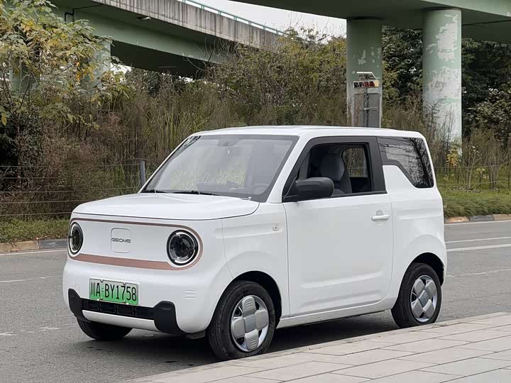 Фото 1 - Geely Galaxy Panda Mini