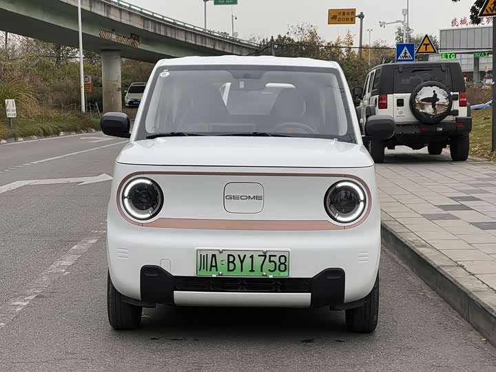 Фото 2 - Geely Galaxy Panda Mini