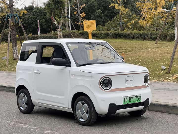 Фото 3 - Geely Galaxy Panda Mini