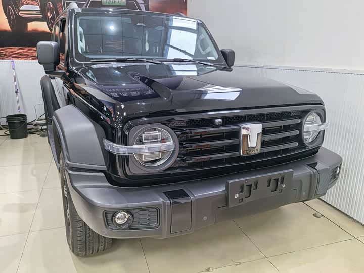 Фото 1 - Tank 300