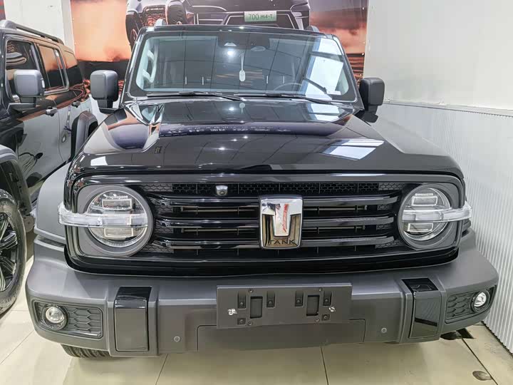 Фото 2 - Tank 300