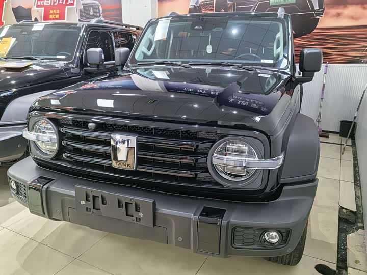 Фото 3 - Tank 300