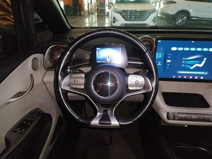 Фото 11 - BYD Dolphin