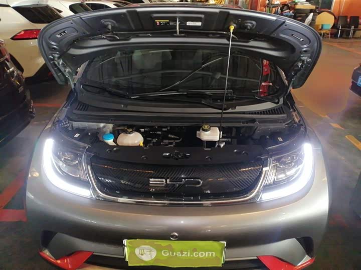 Фото 20 - BYD Dolphin