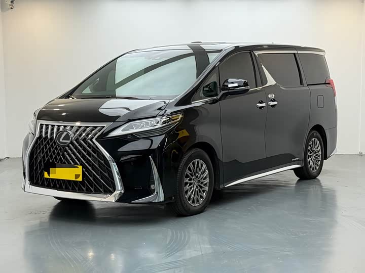 Фото 1 - Lexus LM