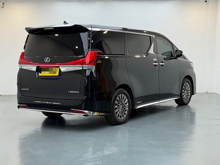 Фото 4 - Lexus LM