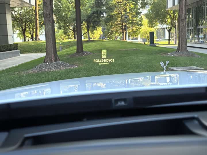 Фото 12 - Rolls-Royce Dawn