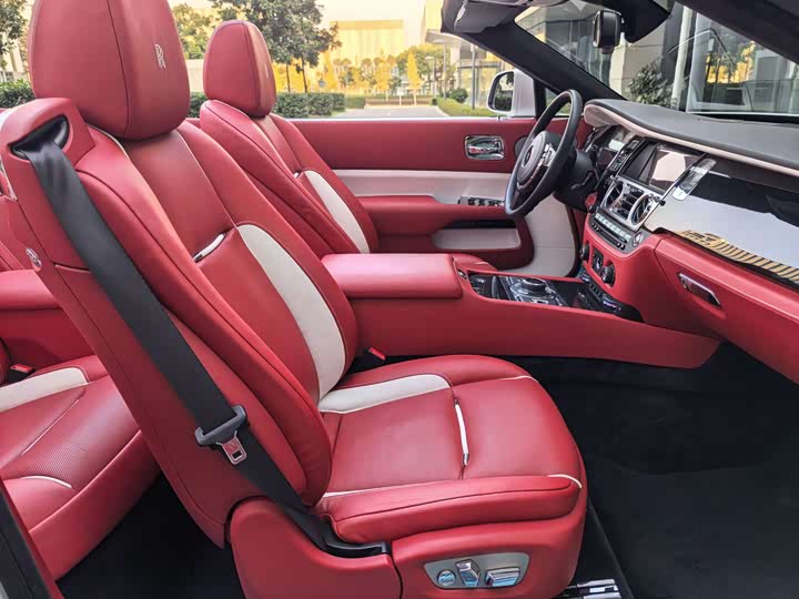 Фото 31 - Rolls-Royce Dawn