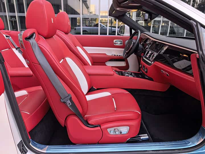 Фото 43 - Rolls-Royce Dawn