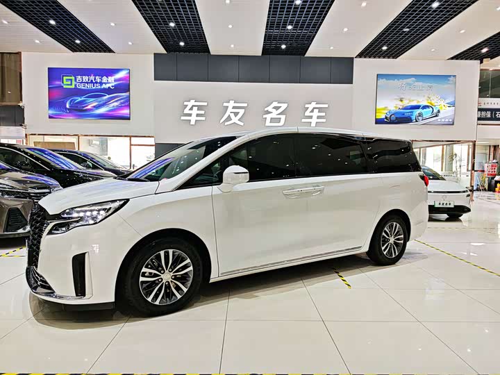 Фото 1 - Buick GL8 ES