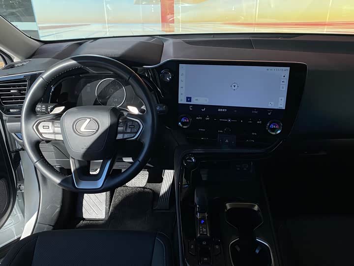 Фото 14 - Lexus NX