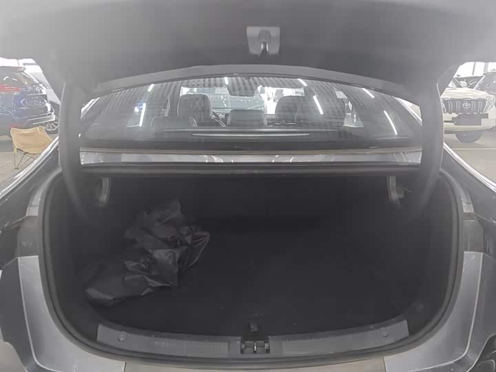 Фото 19 - BYD Qin L