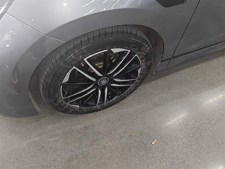 Фото 23 - BYD Qin L