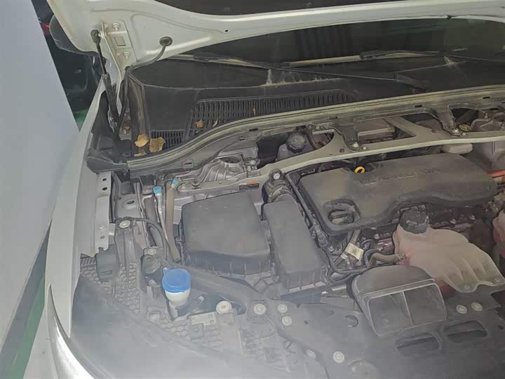 Фото 21 - Leapmotor C11