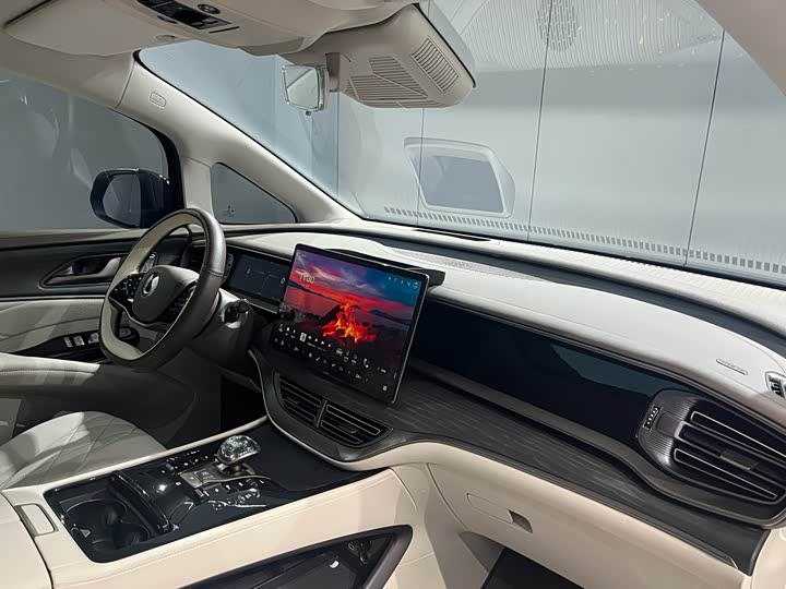 Фото 14 - Denza D9