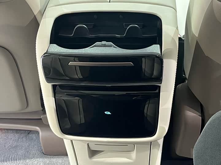 Фото 19 - Denza D9