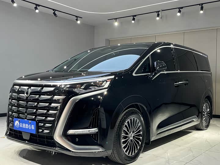 Фото 2 - Denza D9