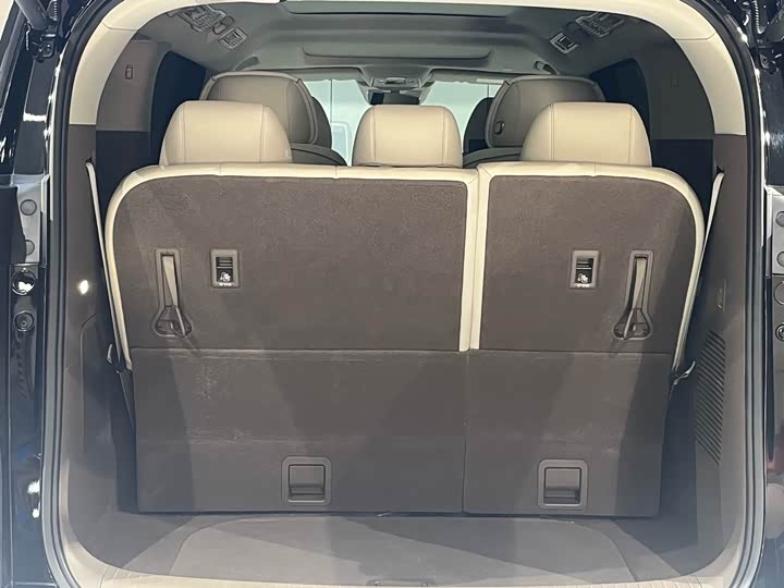 Фото 23 - Denza D9