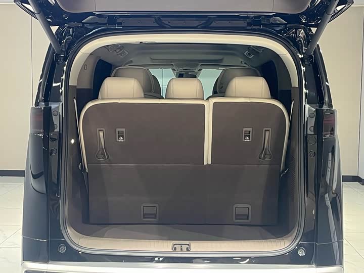 Фото 24 - Denza D9