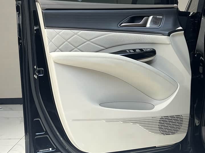 Фото 8 - Denza D9