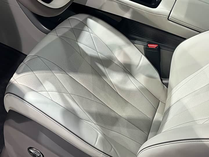 Фото 9 - Denza D9