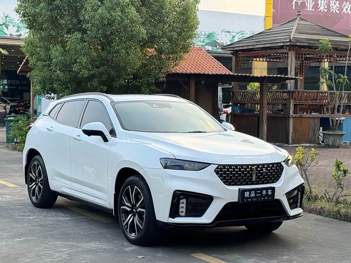 Фото 3 - Wey VV7