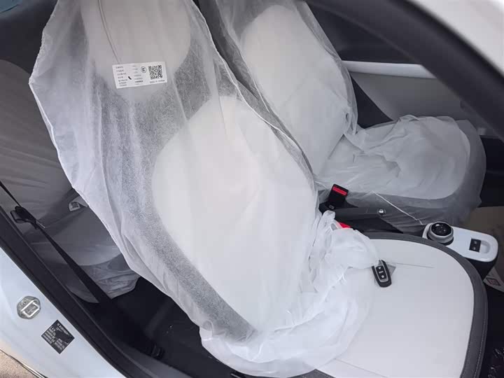 Фото 25 - Geely Galaxy Panda Mini