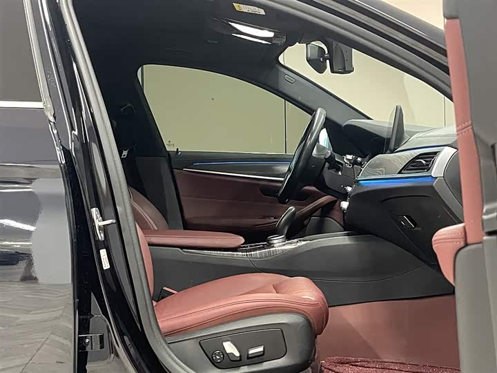 Фото 17 - BMW 5 Series Hybrid