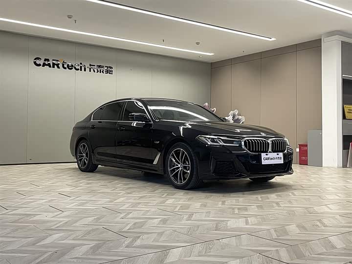 Фото 2 - BMW 5 Series Hybrid