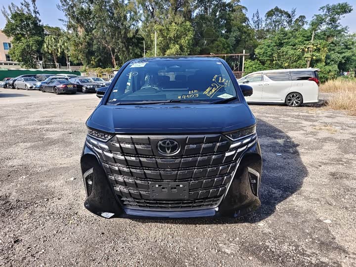 Фото 2 - Toyota Alphard