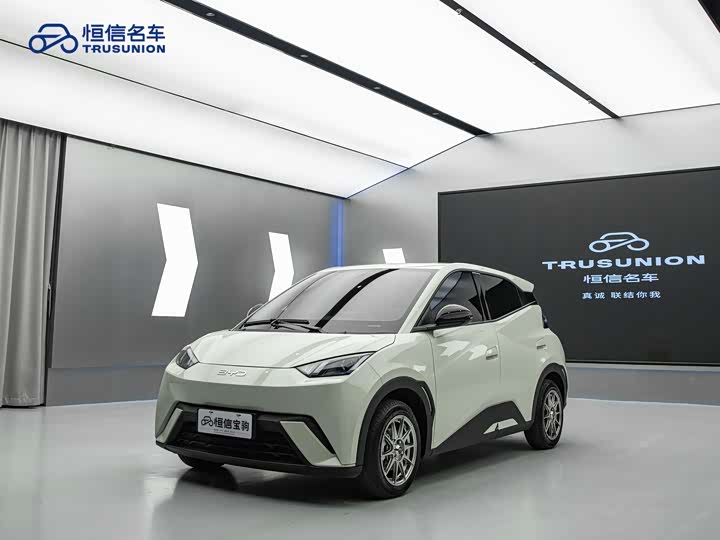 Фото 1 - BYD Seagull