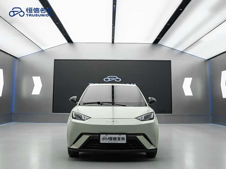 Фото 2 - BYD Seagull